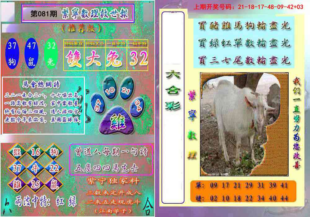 081期数理救世报[图]